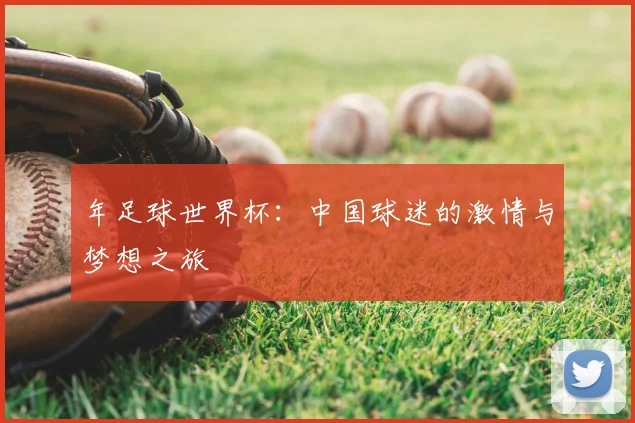 年足球世界杯:中国球迷的激情与梦想之旅