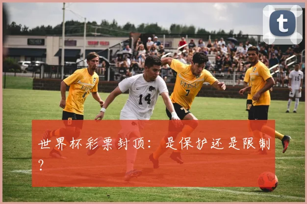 世界杯彩票封顶：是保护还是限制？
