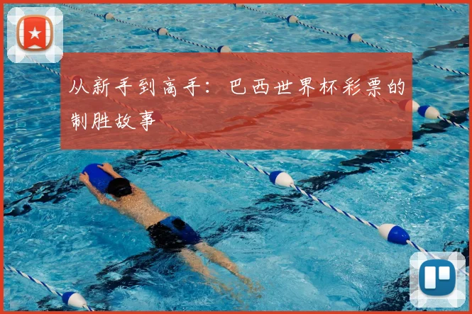 从新手到高手：巴西世界杯彩票的制胜故事