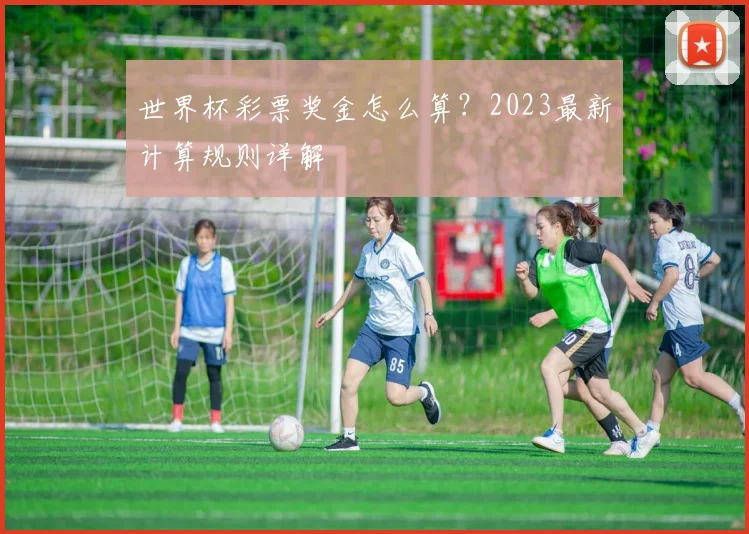 世界杯彩票奖金怎么算？2023最新计算规则详解