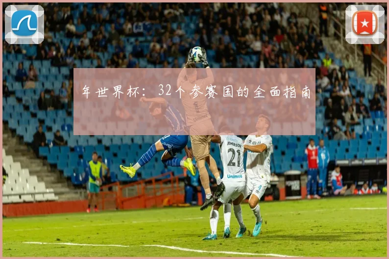 年世界杯：32个参赛国的全面指南