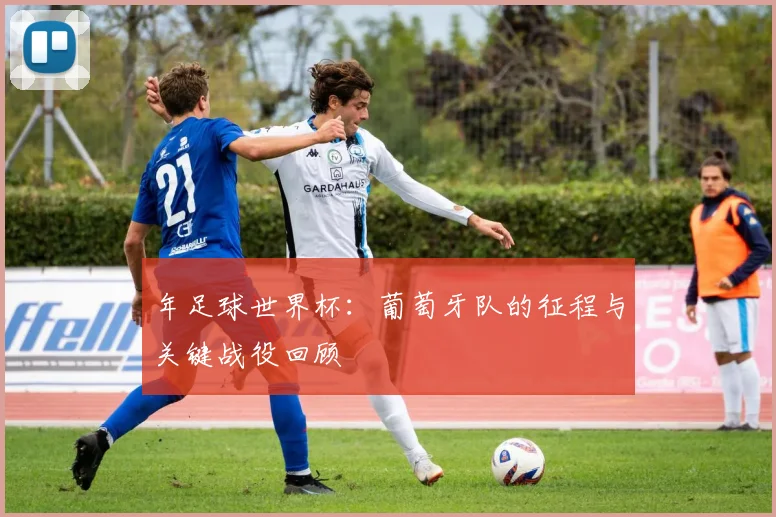 年足球世界杯:葡萄牙队的征程与关键战役回顾