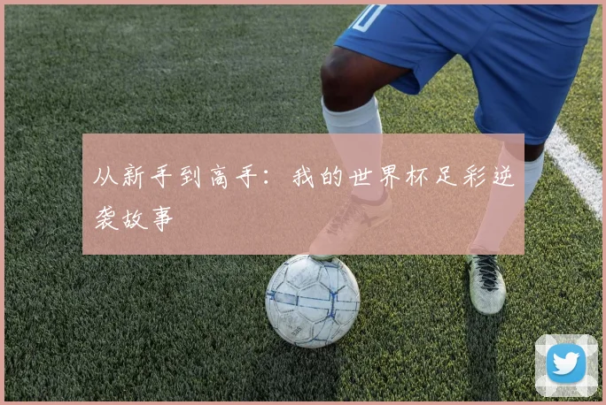 从新手到高手：我的世界杯足彩逆袭故事