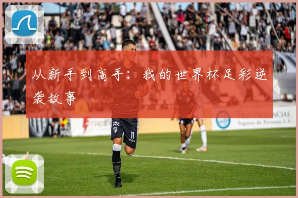 从新手到高手：我的世界杯足彩逆袭故事